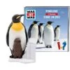 Tonies Was Ist Was - Pinguine / Tiere Im Zoo, Spielfigur